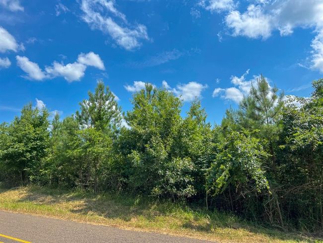 1 State St, Home with 0 bedrooms, 0 bathrooms and null parking in Milam TX | Image 9