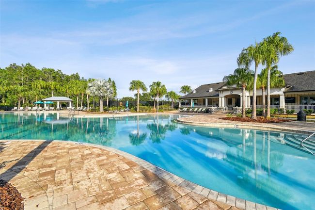10701 Morning Dew Way, House other with 7 bedrooms, 6 bathrooms and null parking in TAMPA FL | Image 87