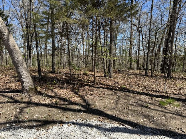 Land | Image 8
