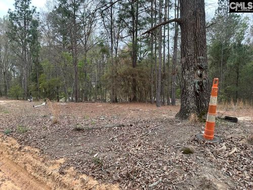 344 Terry Road, Pelion, SC, 29123 | Card Image