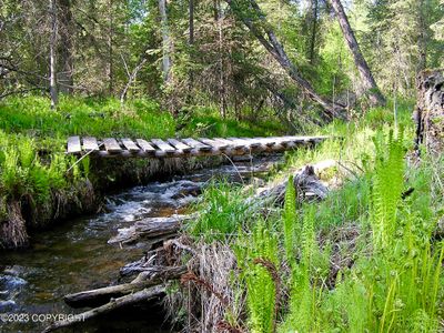 Old Bridge over Sunrise Creek | Image 1