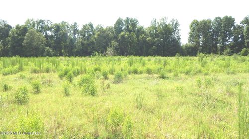 590 County Road 247, Bruce, MS, 38915 | Card Image