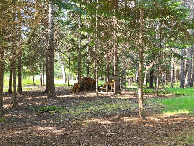 22 Pinewoods Dr, House other with 2 bedrooms, 2 bathrooms and null parking in Trout Creek MT | Image 59