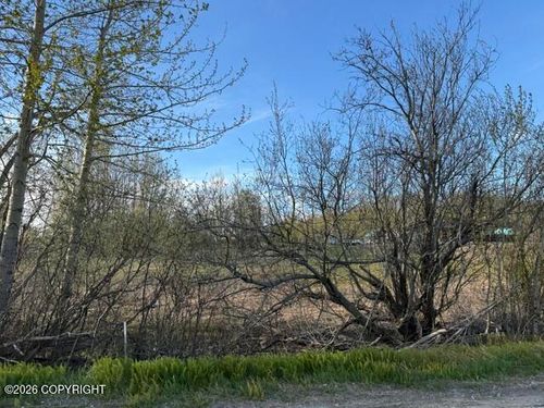 15221 E Nina Rd, Palmer, AK, 99645 | Card Image