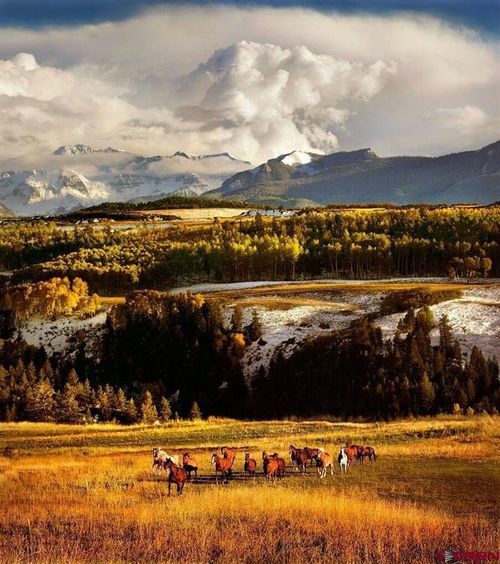 DRR Last Dollar Rd, Telluride, CO, 81435 | Card Image