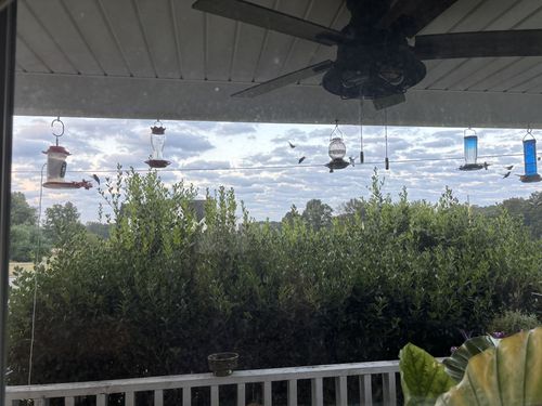 501 Fawn Ct, Burns, TN, 37029-5430 | Card Image