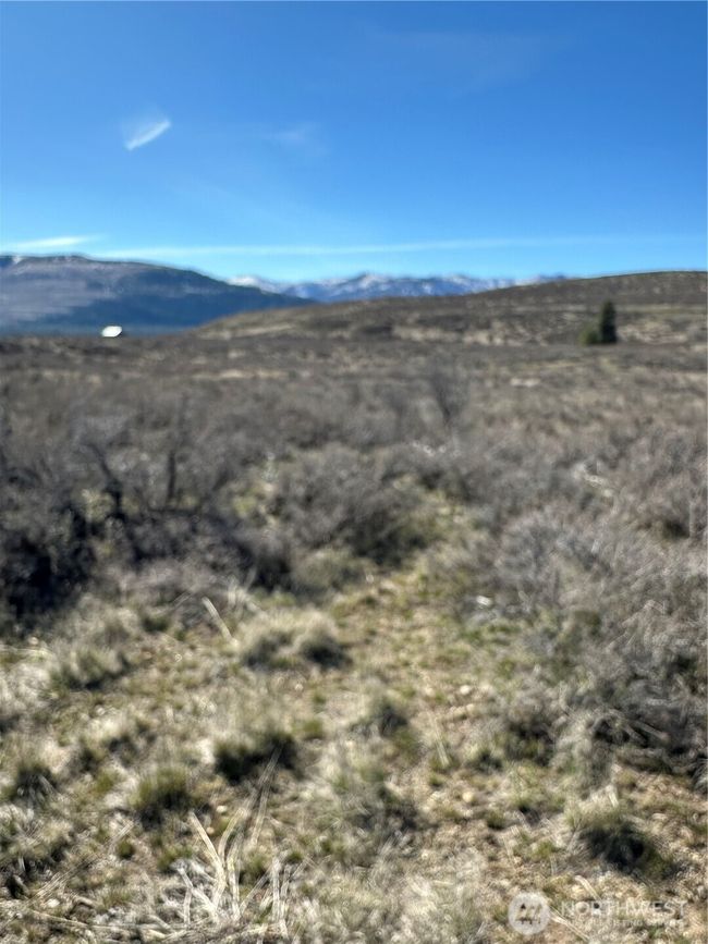 81 W Chewuch Rd, Home with 0 bedrooms, 0 bathrooms and null parking in Winthrop WA | Image 26