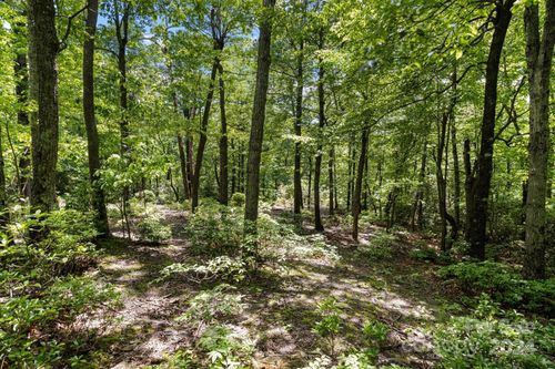 80-99999 Arrowhead Trl, Columbus, NC, 28722 | Card Image