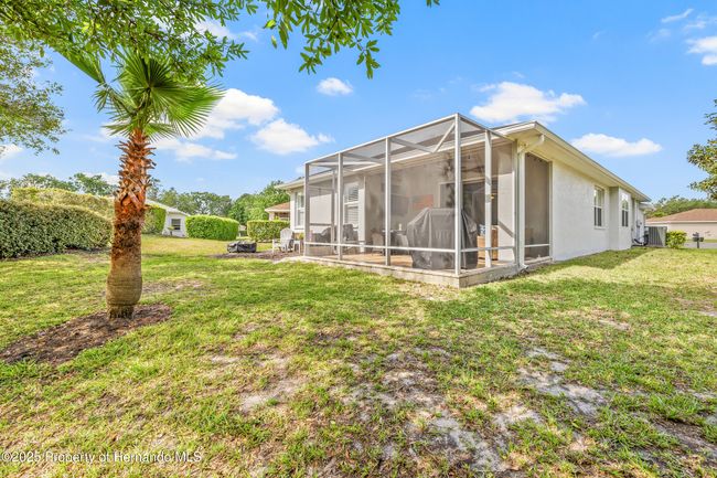 4210 Silver Berry Ct, House other with 3 bedrooms, 2 bathrooms and null parking in SPRING HILL FL | Image 38