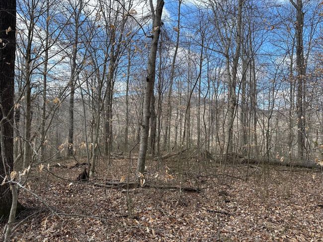 126 Northcutts Cove Rd, Home with 0 bedrooms, 0 bathrooms and null parking in Beersheba Springs TN | Image 22