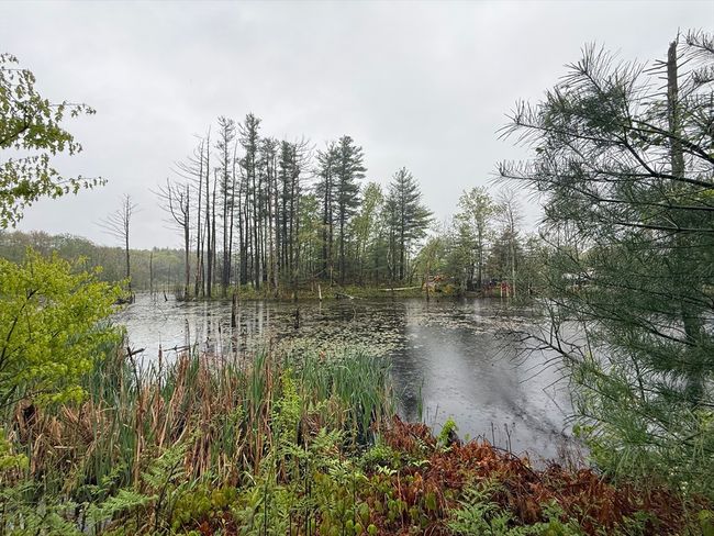 APT-21B - 284 Codman Hill Rd, Condo with 2 bedrooms, 1 bathrooms and 2 parking in Boxborough MA | Image 28