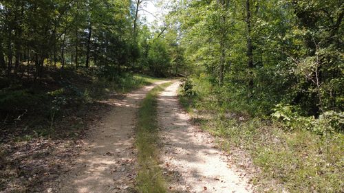 0 Hogg Hill Rd, Lobelville, TN, 37097 | Card Image