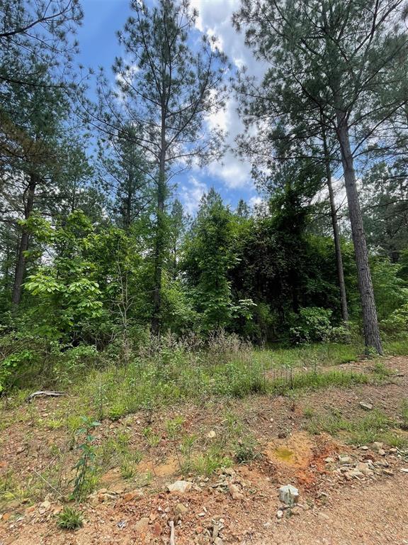 Land in Broken Bow