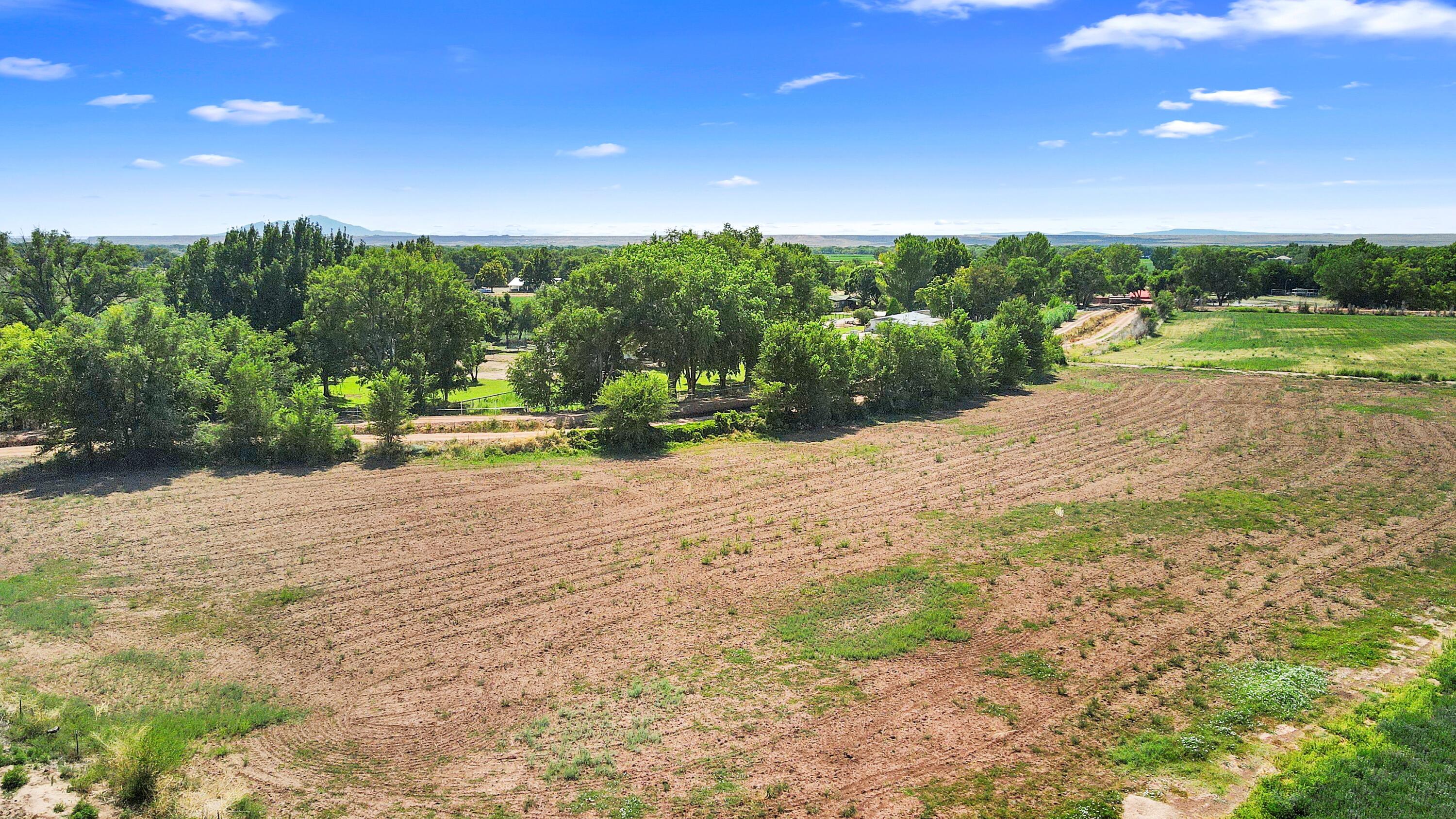 Land in Los Lunas 3