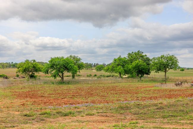 14445 E Us Highway 290, Home with 0 bedrooms, 0 bathrooms and null parking in Stonewall TX | Image 23