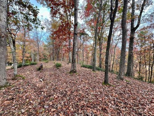 Lot 16 Cricket Lane, Brasstown, NC, 28902 | Card Image