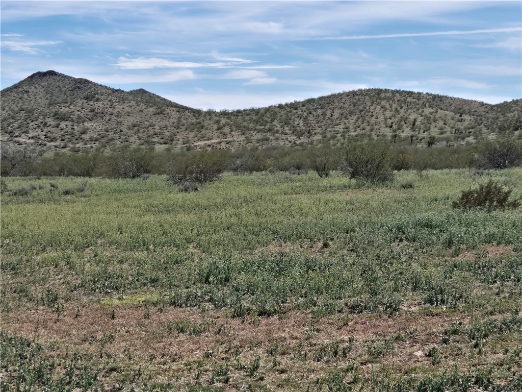 Land in Dolan Springs 4