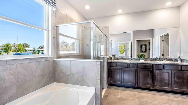 33989 Field Maple Loop, House other with 4 bedrooms, 4 bathrooms and null parking in WESLEY CHAPEL FL | Image 10