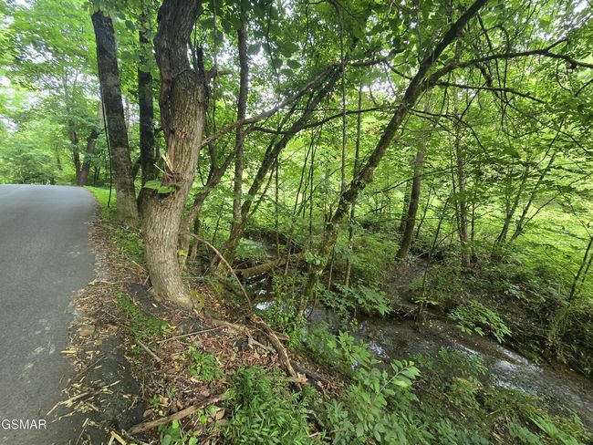 8 Mccarter Hollow Rd, Home with 0 bedrooms, 0 bathrooms and null parking in Sevierville TN | Image 19