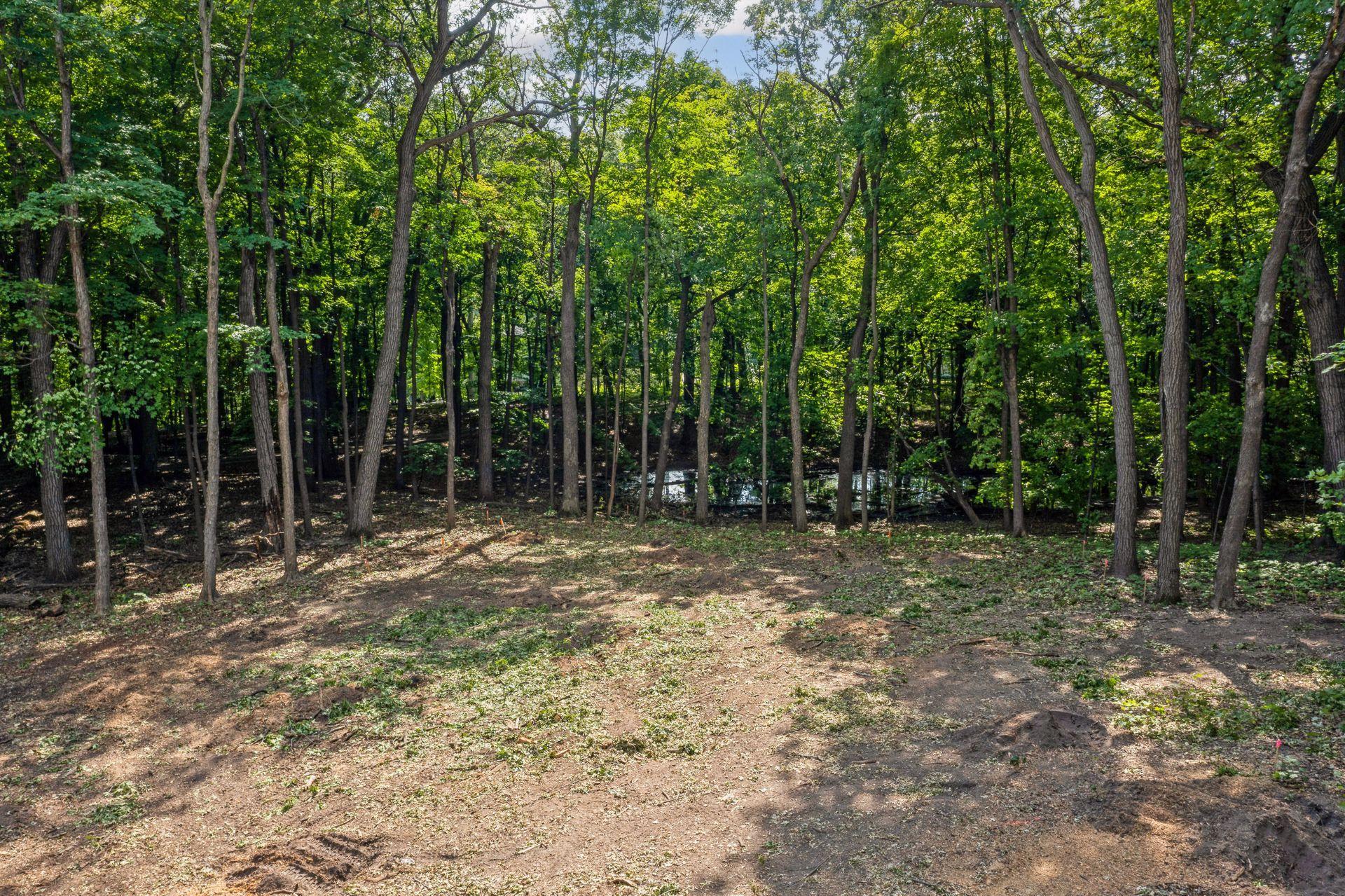 Land in Chanhassen 5