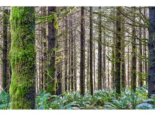 0 N Adams St, Coquille, OR, 97423 | Card Image