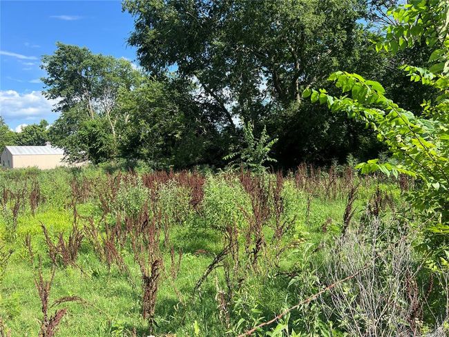 View of local wilderness | Image 9