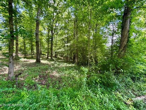 0 Rolling Acres Drive, Rockwood, TN, 37854 | Card Image