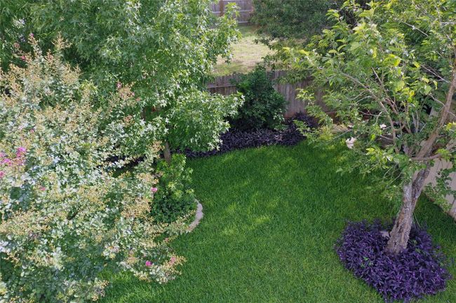 View of yard | Image 34