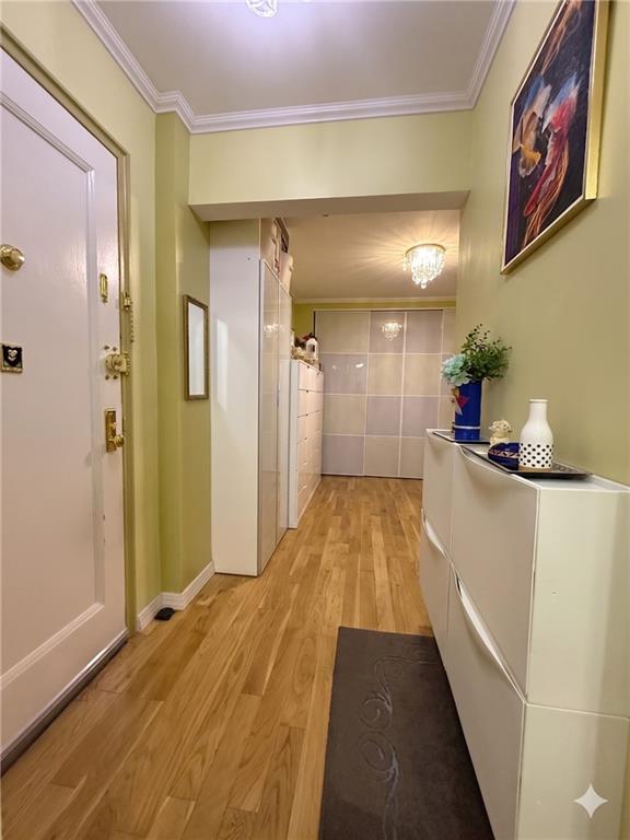 Residential in Brooklyn 4
