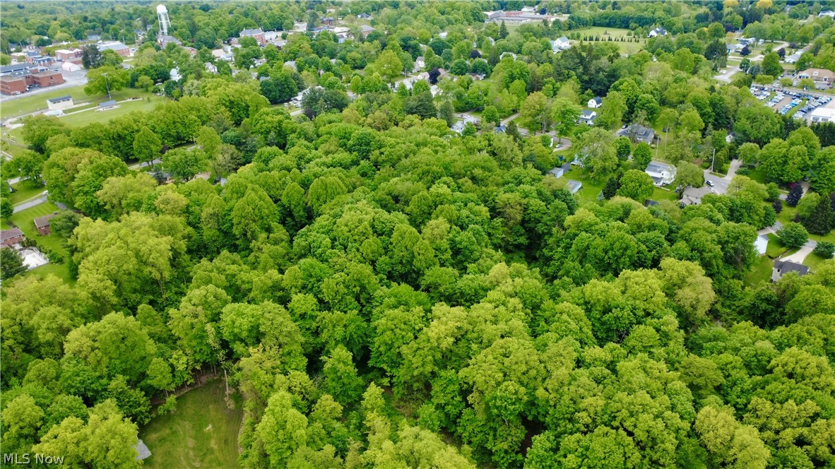 Land in Burton 4