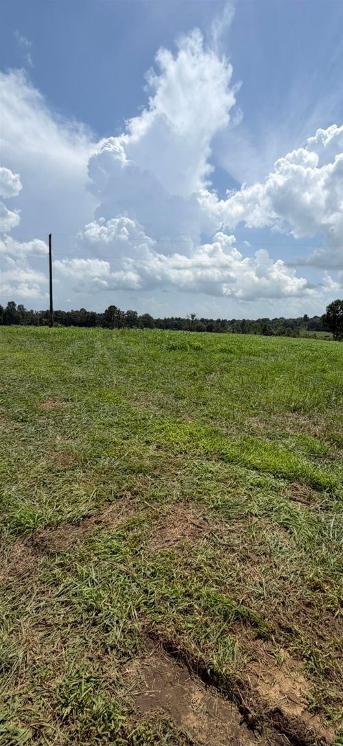 0 Highway 89, Phil Campbell, AL, 35581 | Card Image