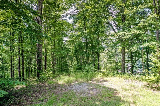 533 Shooting Tree Way, Home with 0 bedrooms, 0 bathrooms and null parking in Salem SC | Image 17