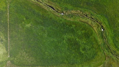 nw-corner-3-acres--52067 Rr 224, Magrath, AB, T0K1J0 | Card Image