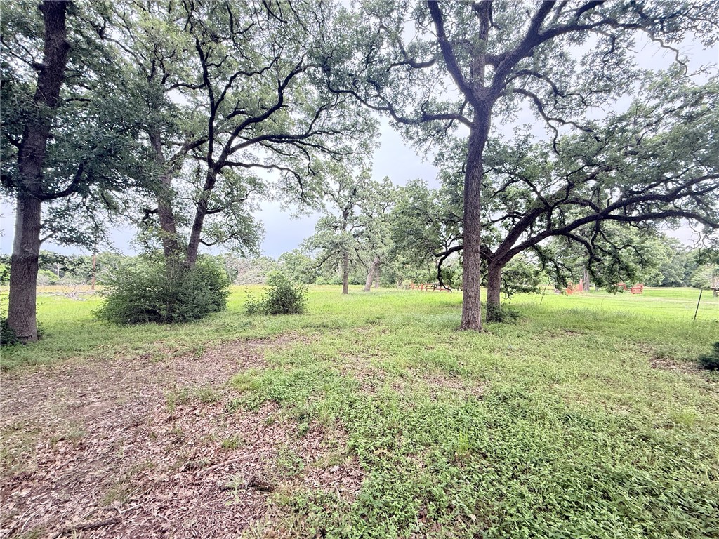 Land in Bryan