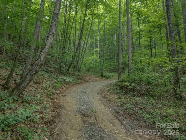 000 White Rock Branch Rd, Home with 0 bedrooms, 0 bathrooms and null parking in Candler NC | Image 18