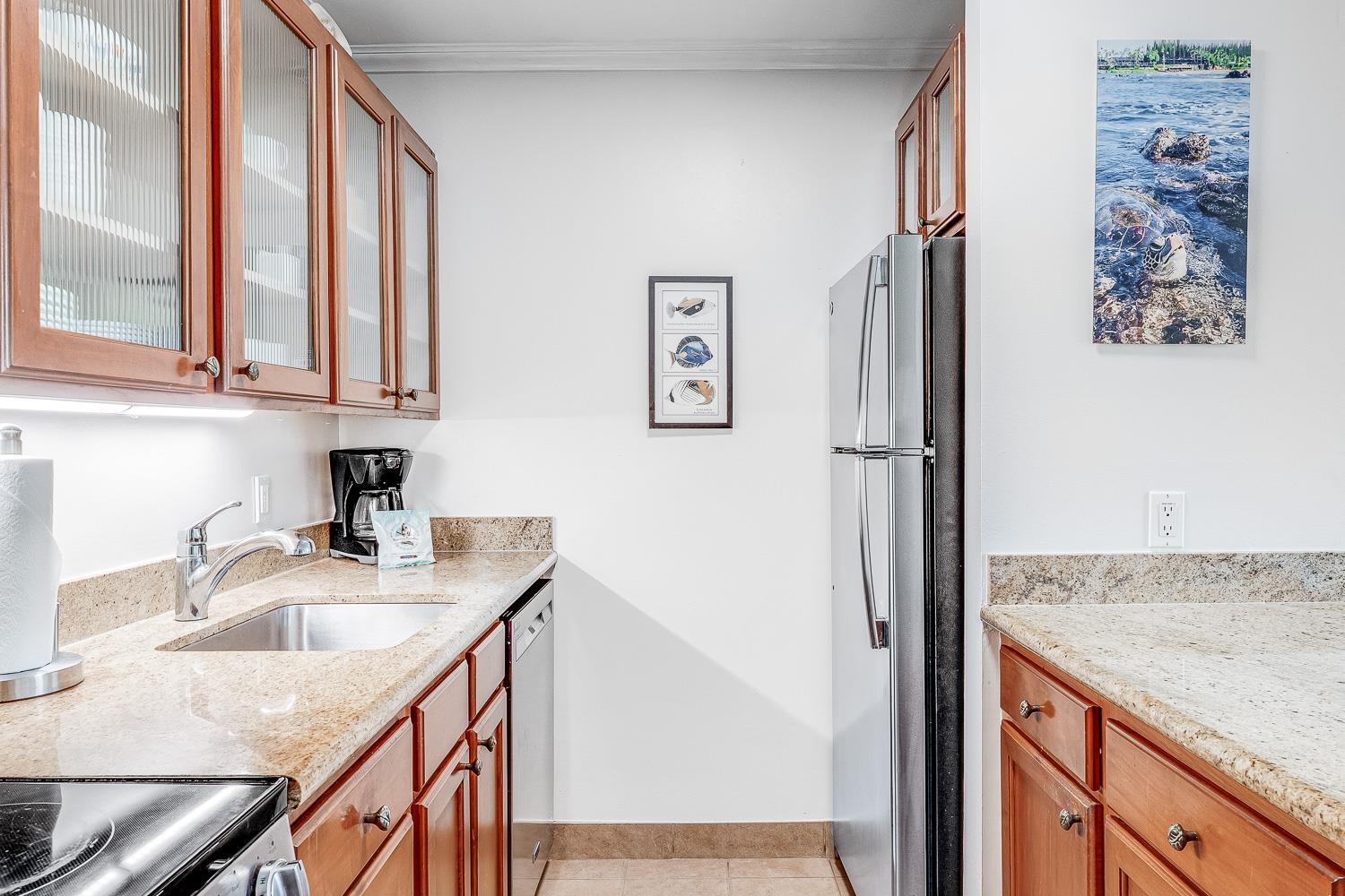 Residential in Lahaina 2