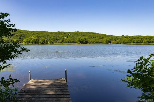 31 Lake Shore Dr, Pine Plains, NY, 12567-5509 | Card Image