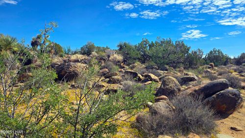 8375 E Cholla Dr, Yucca, AZ, 86438-0750 | Card Image