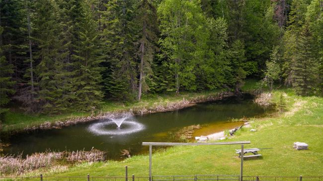 Pond with Aerator | Image 45