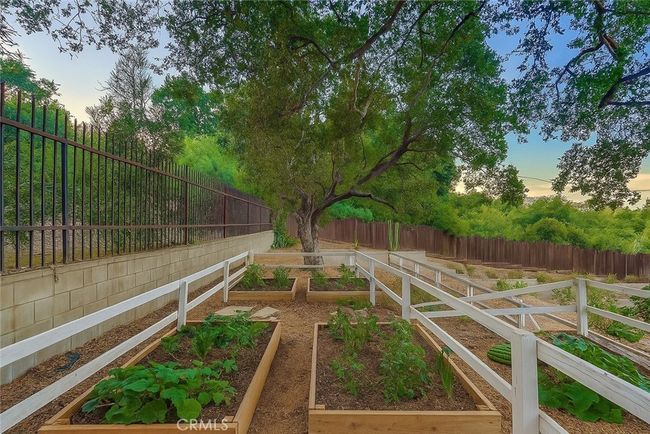 Vegetable Patch Virtually Syaged | Image 46