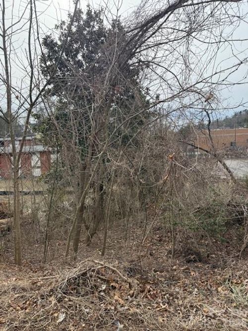 2-37 Johnson Drive, Asheville, NC, 28804 | Card Image