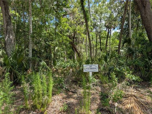 13159 W Gulf Shores St, INGLIS, FL, 34449-9328 | Card Image