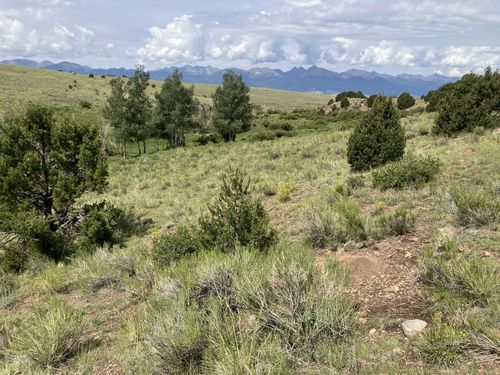 565 Marcy Ave, Westcliffe, CO, 81252 | Card Image
