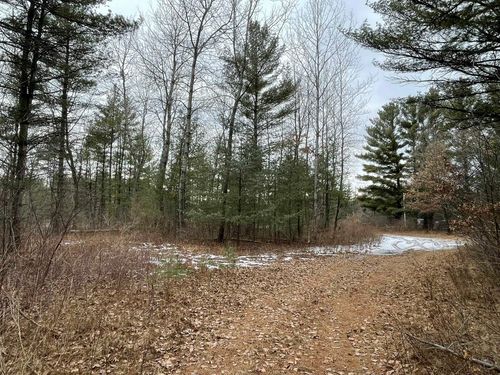 40 Acres Seneca Road, PORT EDWARDS, WI, 54469 | Card Image