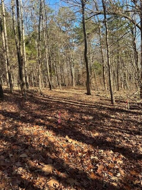 2 Lower River Rd Nw, Charleston, TN, 37310 | Card Image