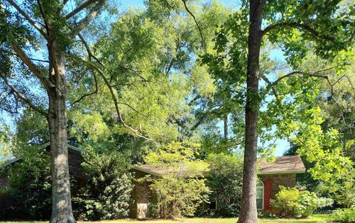 6128 Lindholm Dr, Mobile, AL, 36693-3732 | Card Image