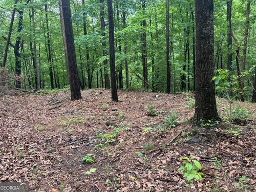 543 Parable Court, Ranger, GA, 30734 | Card Image