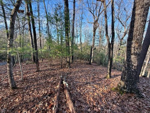 Lot 42 Panico Trl, Murphy, NC, 28906 | Card Image