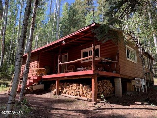 8 County Road 1006, Greer, AZ, 85927 | Card Image