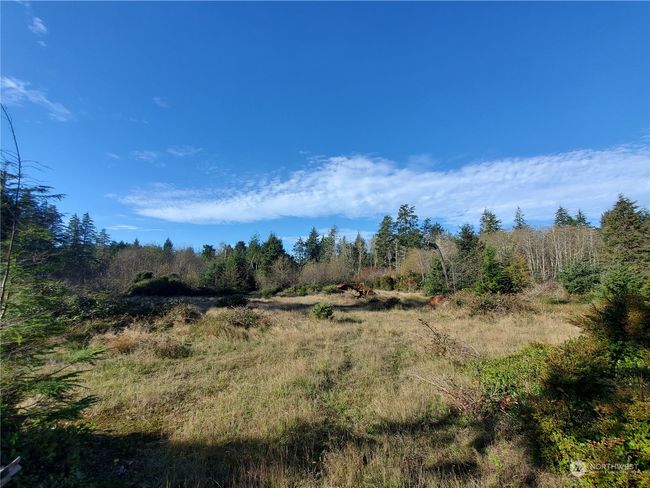 36602 Stackpole Rd, Home with 0 bedrooms, 0 bathrooms and null parking in Oysterville WA | Image 16